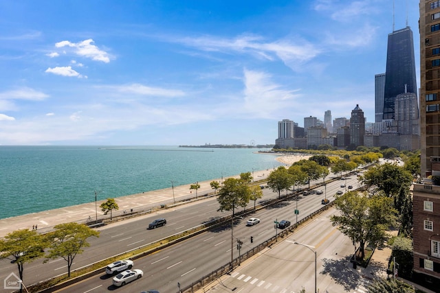 1300 N Lake Shore Dr Unit 8Bc, Chicago, IL 60610 - photo 18