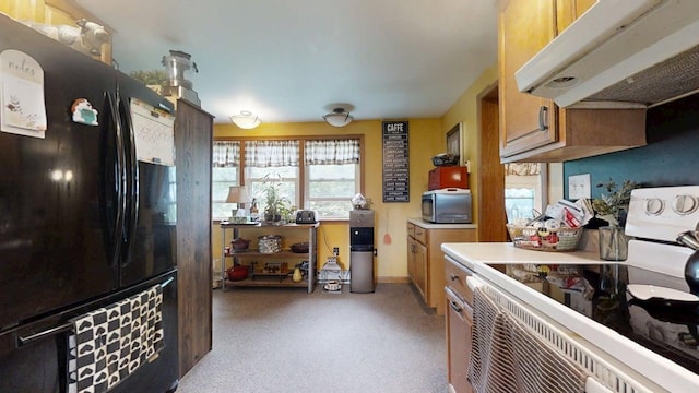 286 N 3800 E Rd, Mansfield, IL 61854 - photo 9