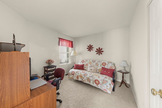 622 Springwood Dr Unit 0, Joliet, IL 60431 - photo 21