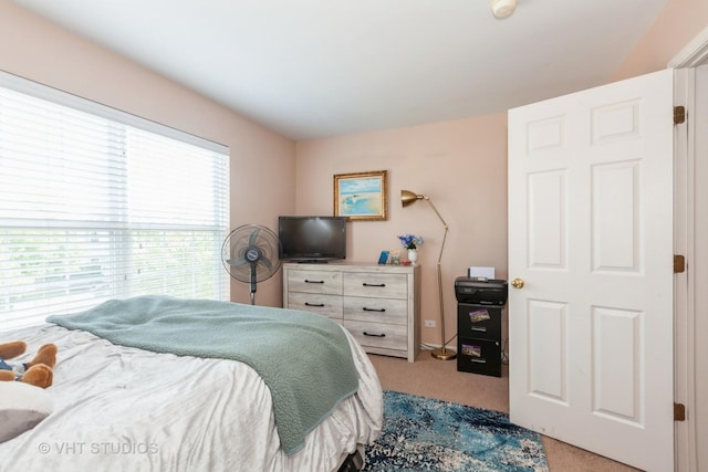 2401 Sunshine Ln, Aurora, IL 60503 - photo 13