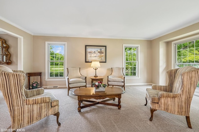 195 Cold Spring Rd, Barrington, IL 60010 - living area with crown molding and carpet flooring