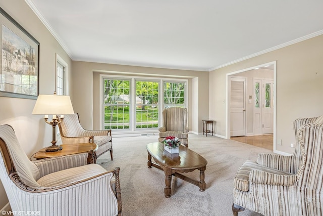 195 Cold Spring Rd, Barrington, IL 60010 - carpeted living area with ornamental molding and plenty of natural light