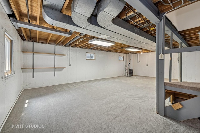 195 Cold Spring Rd, Barrington, IL 60010 - basement featuring carpet floors