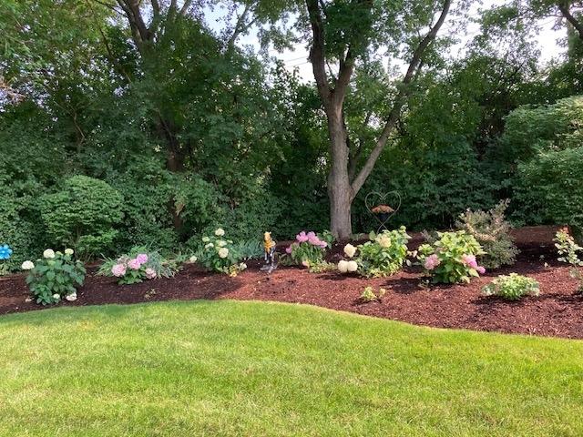 195 Cold Spring Rd, Barrington, IL 60010 - view of grassy yard