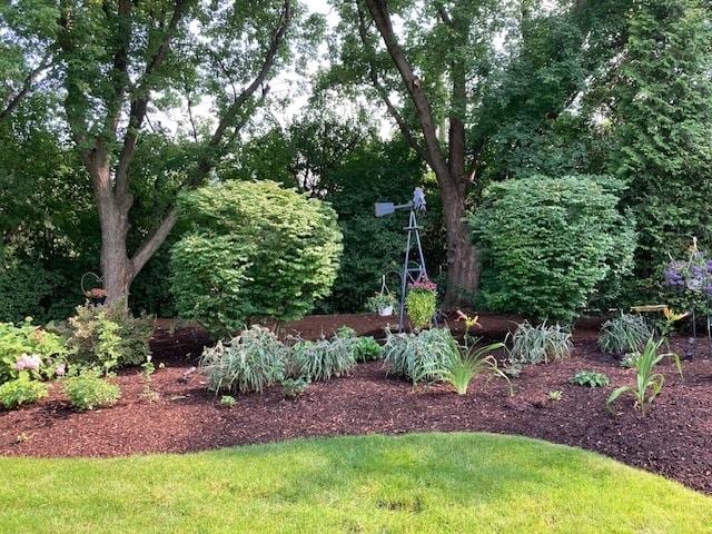 195 Cold Spring Rd, Barrington, IL 60010 - view of yard