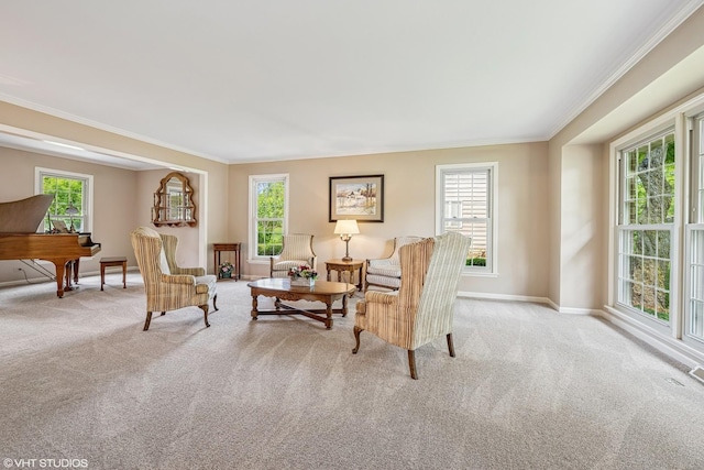 195 Cold Spring Rd, Barrington, IL 60010 - carpeted living room featuring ornamental molding and an office area