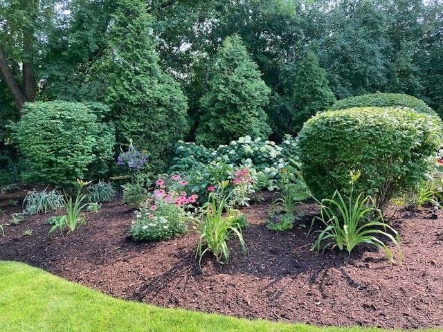 195 Cold Spring Rd, Barrington, IL 60010 - view of yard