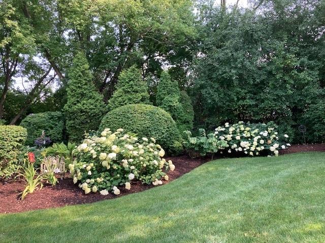 195 Cold Spring Rd, Barrington, IL 60010 - view of green lawn