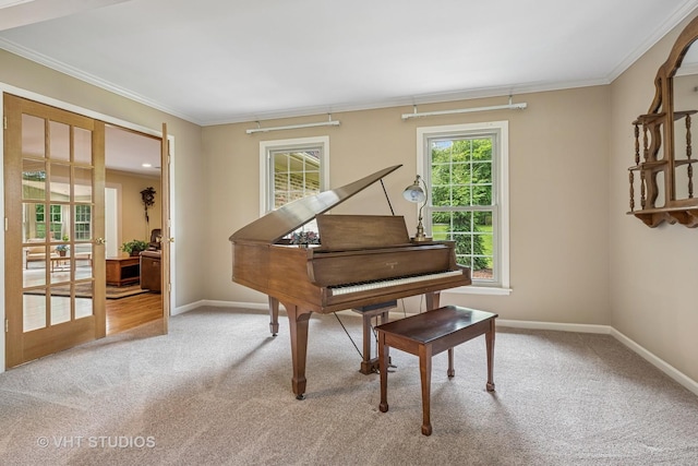 195 Cold Spring Rd, Barrington, IL 60010 - living area with carpet floors, crown molding, and french doors