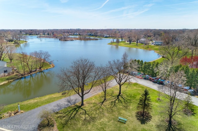 195 Cold Spring Rd, Barrington, IL 60010 - water view