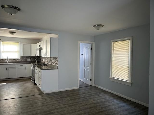 2008 Kishwaukee St, Rockford, IL 61104 - photo 9