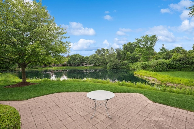 1712 Violet Ct, Highland Park, IL 60035 - photo 4