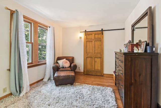 325 Morton St, Batavia, IL 60510 - photo 24