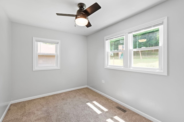35W493 Riverside Dr, Saint Charles, IL 60174 - photo 11