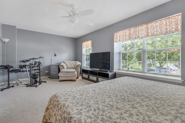 1352 Arlington Ct, Geneva, IL 60134 - photo 11