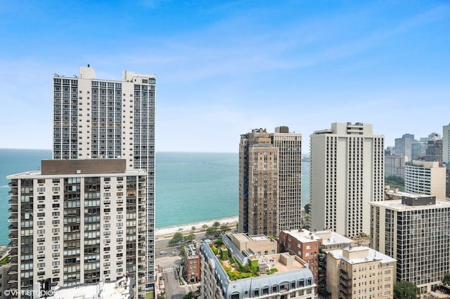 1300 N Astor St Unit 8B, Chicago, IL 60610 - photo 13