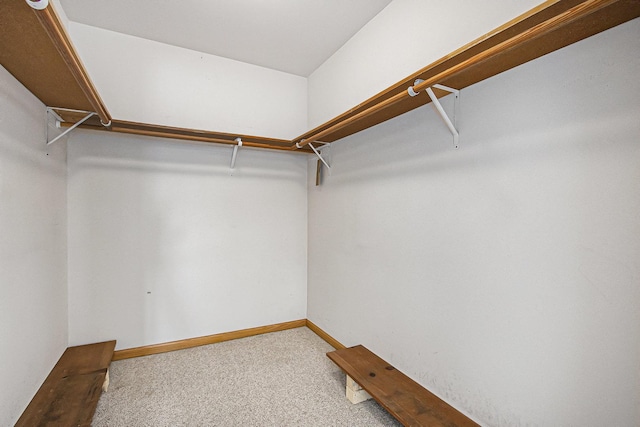 6421 Pine Trail Ln Unit 1, Tinley Park, IL 60477 - photo 16
