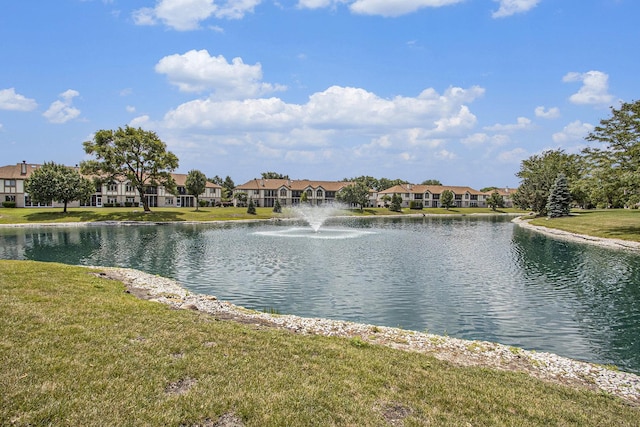6421 Pine Trail Ln Unit 1, Tinley Park, IL 60477 - photo 24