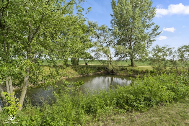 4849 W Kennedy Rd, Peotone, IL 60468 - water view