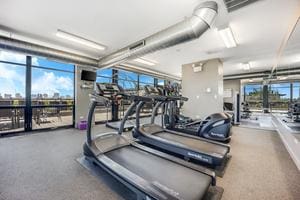 1070 W 15th St Unit 201, Chicago, IL 60608 - view of gym