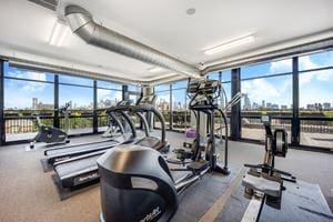 1070 W 15th St Unit 201, Chicago, IL 60608 - workout area featuring a wall of windows and healthy amount of natural light