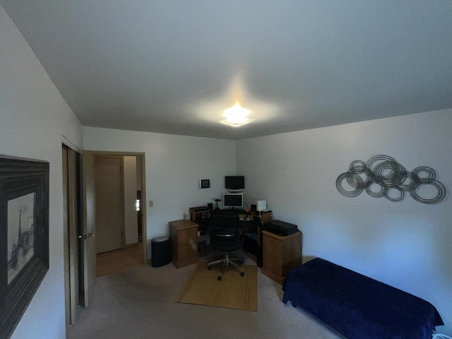 46 Bunkerhill Ave, South Elgin, IL 60177 - photo 14