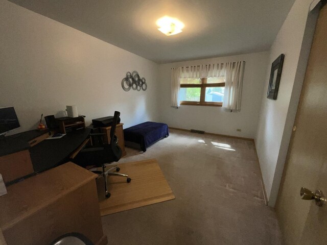 46 Bunkerhill Ave, South Elgin, IL 60177 - photo 15