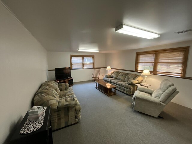 46 Bunkerhill Ave, South Elgin, IL 60177 - photo 24