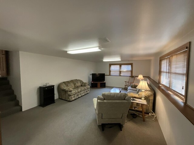 46 Bunkerhill Ave, South Elgin, IL 60177 - photo 25