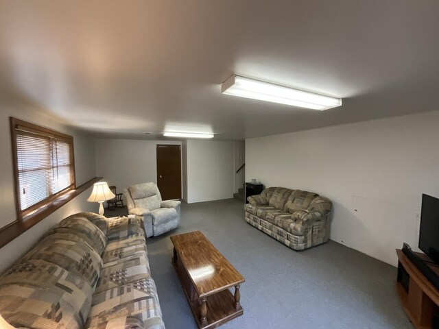 46 Bunkerhill Ave, South Elgin, IL 60177 - photo 27