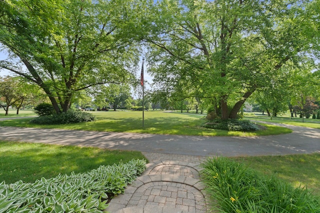 8 Stone Ridge Dr, South Barrington, IL 60010 - photo 5