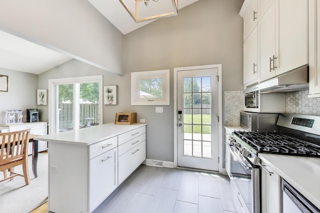 432 Sheryl Ln, Glenview, IL 60025 - photo 9