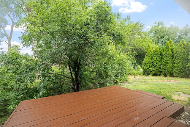 1410 Strawberry Hill Dr, Lockport, IL 60441 - photo 20