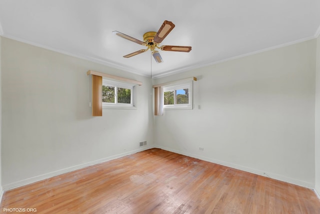 7835 N Odell Ave, Niles, IL 60714 - photo 17