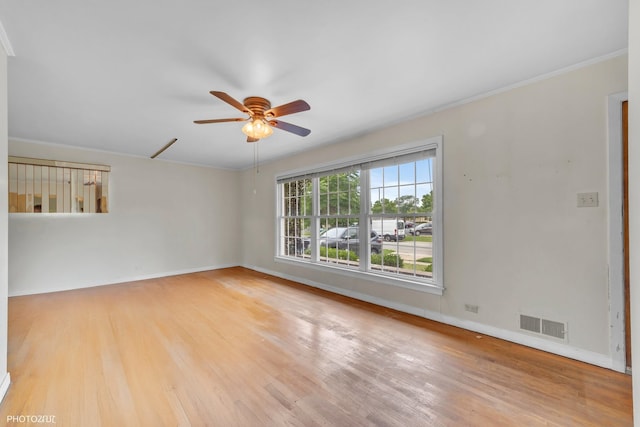 7835 N Odell Ave, Niles, IL 60714 - photo 5
