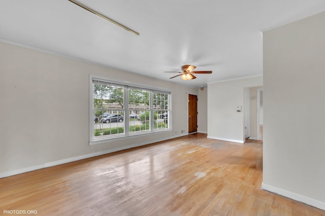 7835 N Odell Ave, Niles, IL 60714 - photo 7