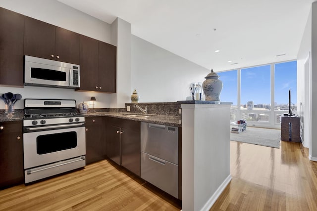 500 W Superior St Unit 1004, Chicago, IL 60654 - kitchen with stainless steel appliances, light wood-style floors, a peninsula, dark brown cabinets, and a wall of windows