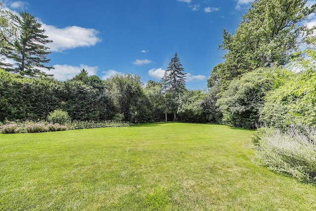 1115 Seneca Rd, Wilmette, IL 60091 - photo 41