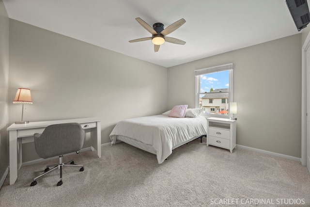 805 W Thornwood Dr, South Elgin, IL 60177 - photo 27