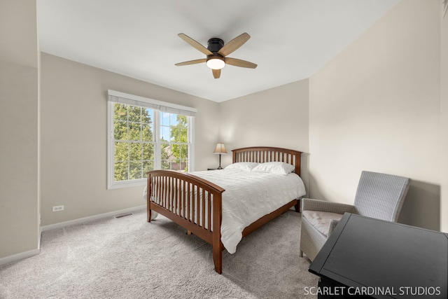 805 W Thornwood Dr, South Elgin, IL 60177 - photo 28