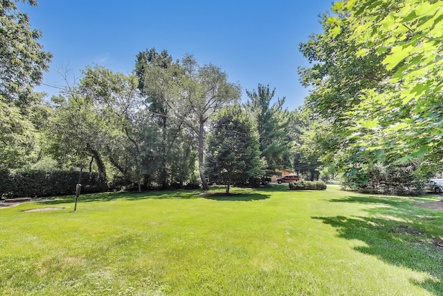 107 Brookside Ct, Libertyville, IL 60048 - photo 18