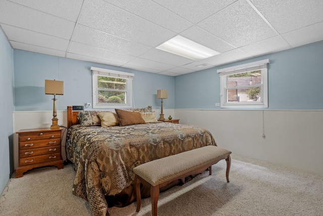6651 Dunham Rd, Downers Grove, IL 60515 - photo 17