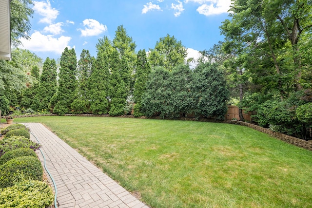6651 Dunham Rd, Downers Grove, IL 60515 - photo 25