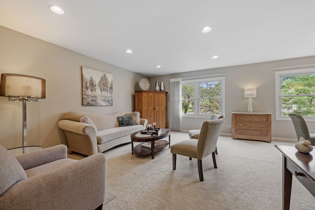 6651 Dunham Rd, Downers Grove, IL 60515 - photo 4