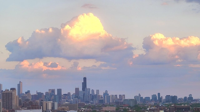 3930 N Pine Grove Ave Unit 2512, Chicago, IL 60613 - photo 8