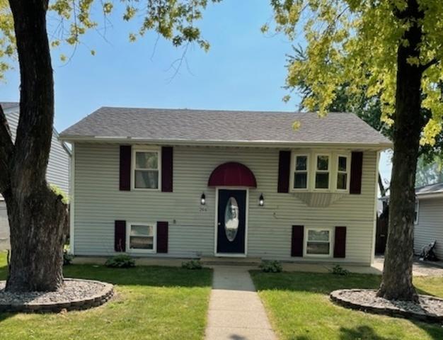 266 S Randolph Ave, Bradley, IL 60915 - photo 2