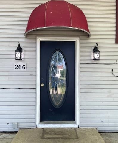 266 S Randolph Ave, Bradley, IL 60915 - photo 3