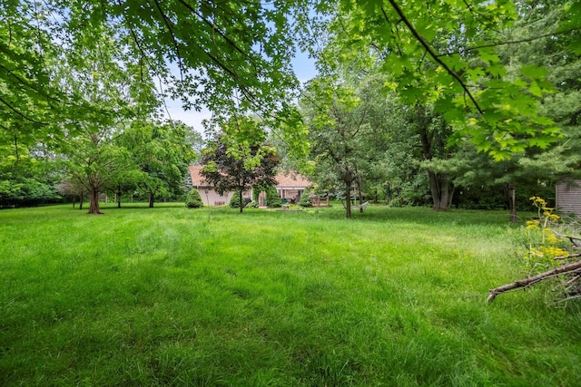 741 N School St, Braidwood, IL 60408 - photo 28