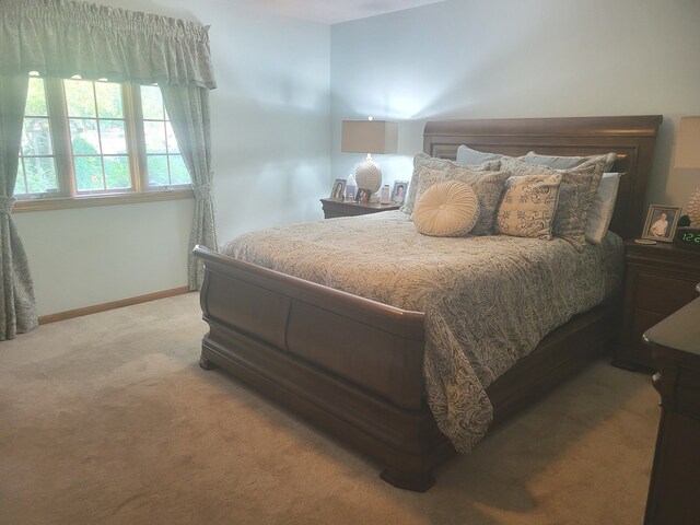 810 Kristin Ln, Wilmington, IL 60481 - photo 16