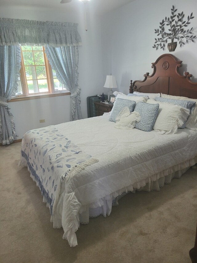810 Kristin Ln, Wilmington, IL 60481 - photo 18
